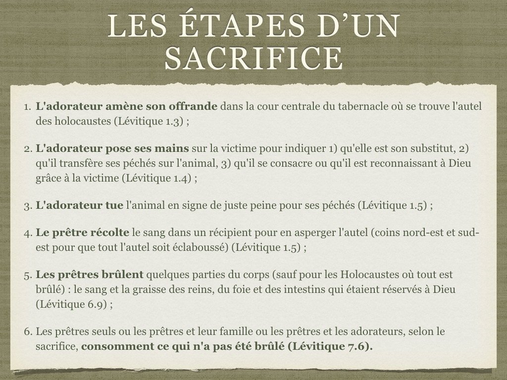 Les Sacrifices Creusons La Bible